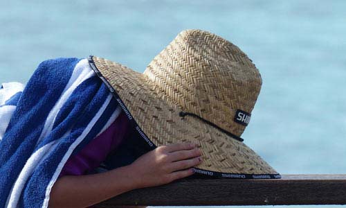 ddos网页在线攻击